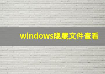 windows隐藏文件查看