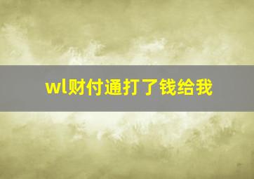 wl财付通打了钱给我