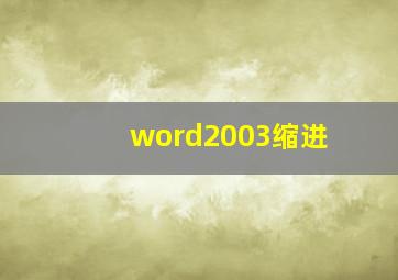 word2003缩进