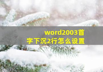 word2003首字下沉2行怎么设置