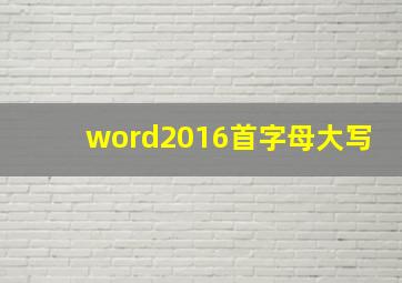 word2016首字母大写