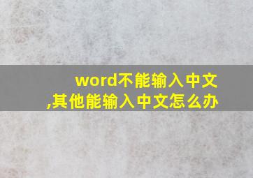 word不能输入中文,其他能输入中文怎么办