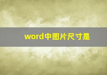 word中图片尺寸是