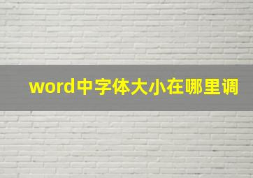 word中字体大小在哪里调