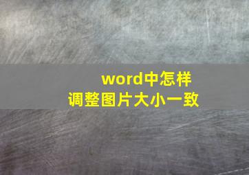 word中怎样调整图片大小一致