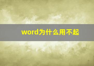 word为什么用不起