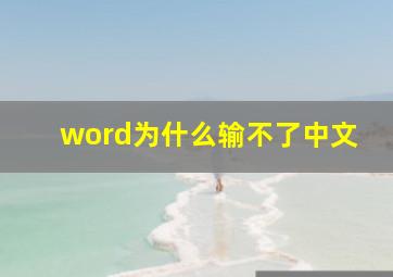 word为什么输不了中文