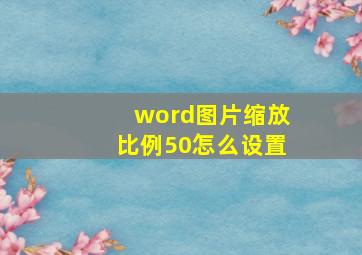 word图片缩放比例50怎么设置