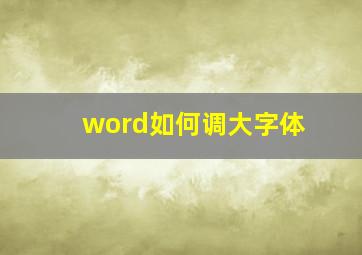 word如何调大字体