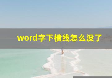 word字下横线怎么没了