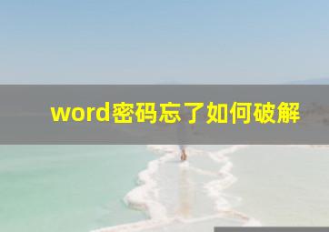 word密码忘了如何破解