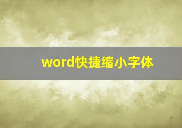 word快捷缩小字体