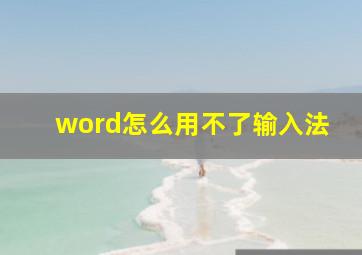 word怎么用不了输入法