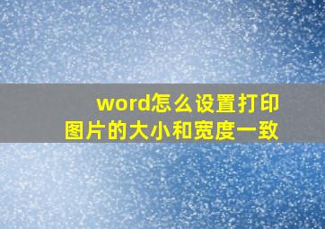 word怎么设置打印图片的大小和宽度一致