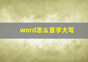 word怎么首字大写