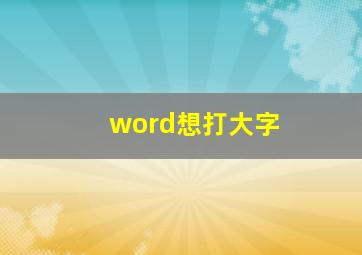 word想打大字