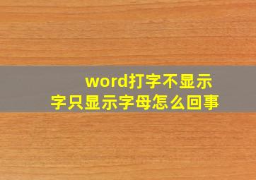 word打字不显示字只显示字母怎么回事