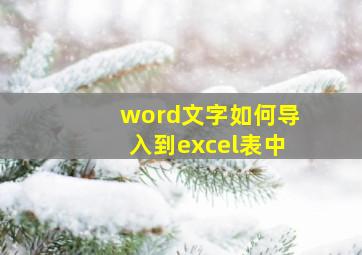 word文字如何导入到excel表中