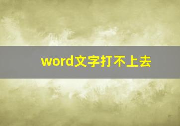 word文字打不上去