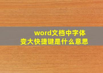 word文档中字体变大快捷键是什么意思