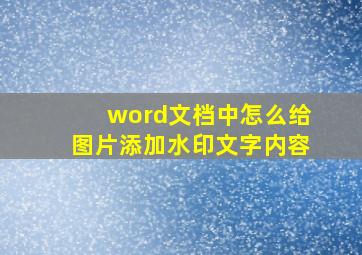 word文档中怎么给图片添加水印文字内容