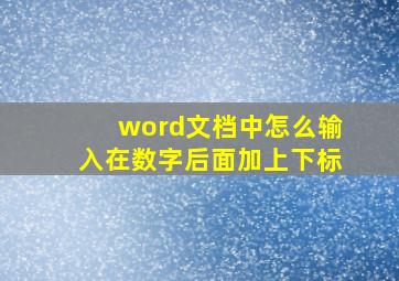 word文档中怎么输入在数字后面加上下标