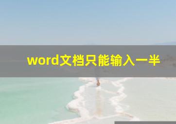 word文档只能输入一半