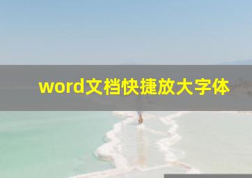 word文档快捷放大字体