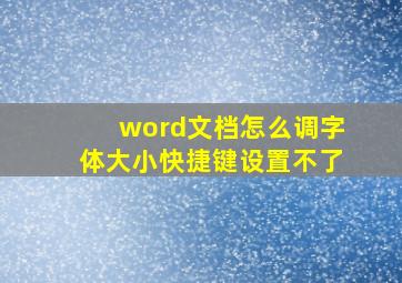 word文档怎么调字体大小快捷键设置不了