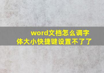 word文档怎么调字体大小快捷键设置不了了