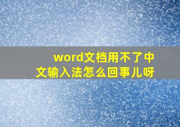 word文档用不了中文输入法怎么回事儿呀