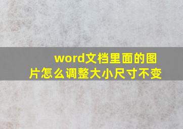 word文档里面的图片怎么调整大小尺寸不变