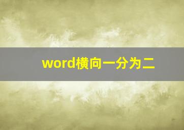 word横向一分为二