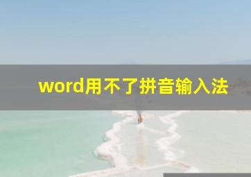 word用不了拼音输入法