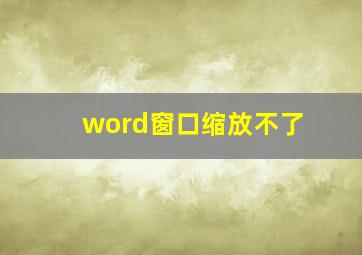 word窗口缩放不了