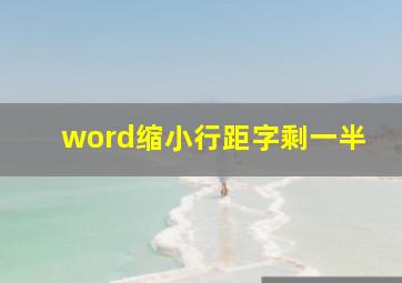 word缩小行距字剩一半