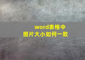 word表格中图片大小如何一致