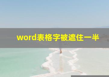 word表格字被遮住一半