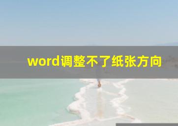 word调整不了纸张方向