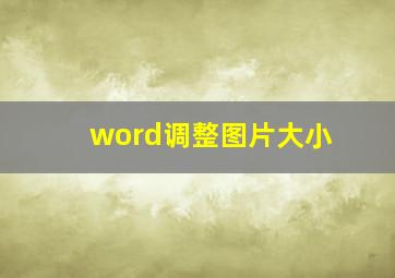 word调整图片大小