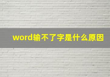 word输不了字是什么原因