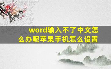 word输入不了中文怎么办呢苹果手机怎么设置