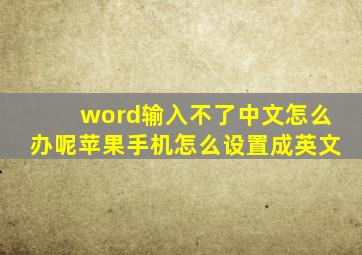 word输入不了中文怎么办呢苹果手机怎么设置成英文