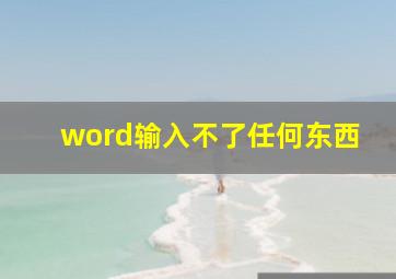 word输入不了任何东西