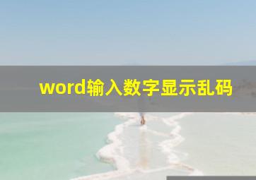 word输入数字显示乱码