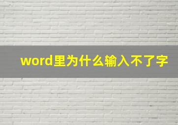 word里为什么输入不了字