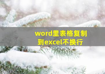 word里表格复制到excel不换行