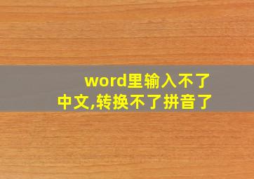 word里输入不了中文,转换不了拼音了