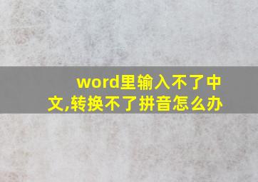 word里输入不了中文,转换不了拼音怎么办