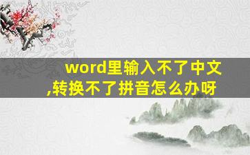 word里输入不了中文,转换不了拼音怎么办呀